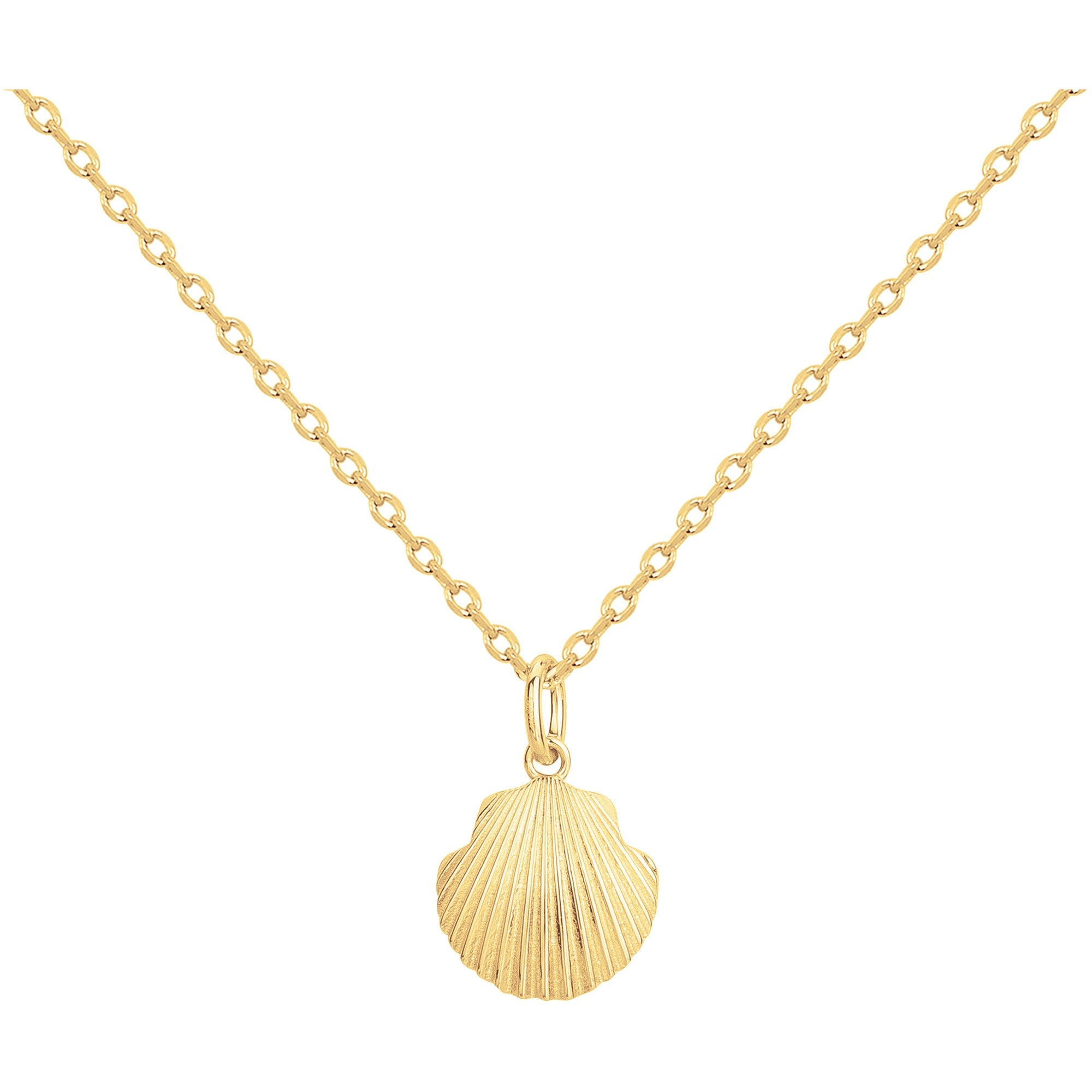 SEASHELL